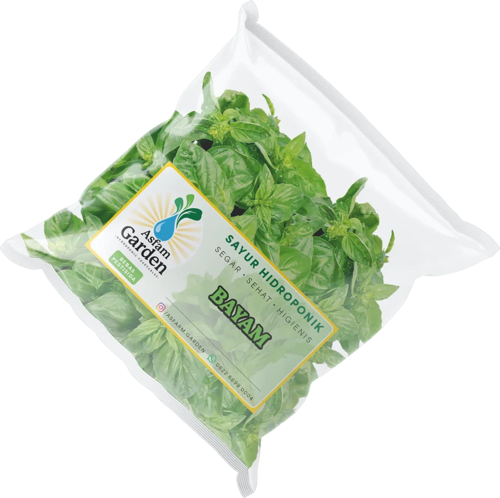 Ganzheitliches Logo-Design und Packaging für ASFAM GARDEN – Spezialist für Hydrokultur-Gemüse in Indonesien. Moderne Produktlabels für nachhaltige Verpackungen, konzipiert und gestaltet von Boris.