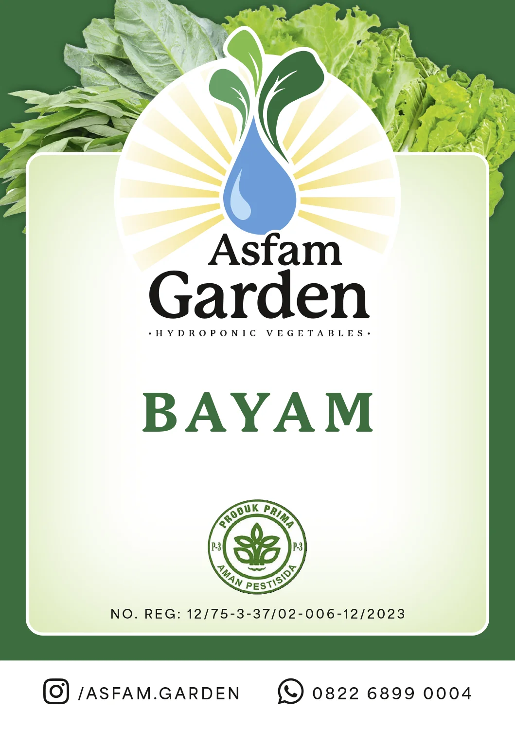 Etikettendesign für Hydrokultur-Gemüse von Asfam Garden, Sorte Bayam, Teil des Corporate Designs