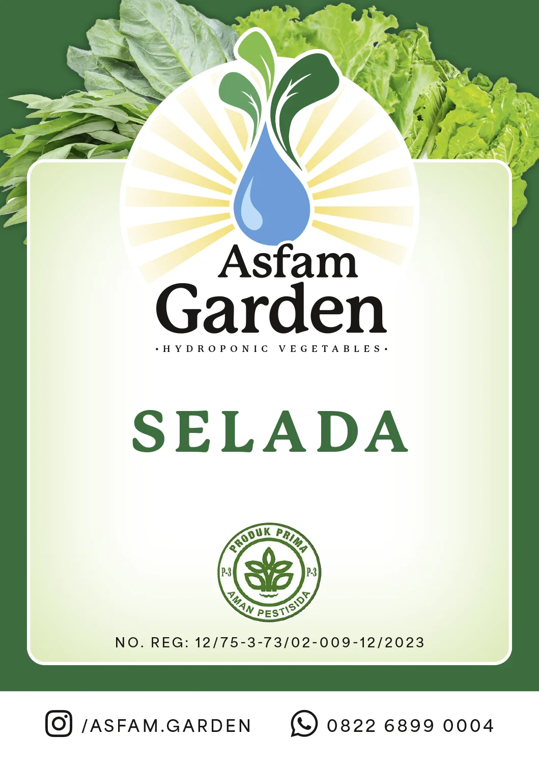 Etikettendesign für Hydrokultur-Gemüse von Asfam Garden, Sorte Selada, Teil des Corporate Designs